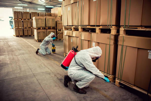 Best Local Pest Control Services  in Demopolis, AL