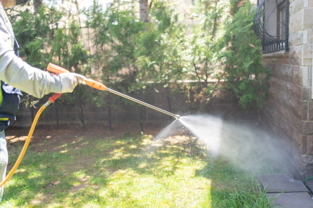 Best Best Pest Control Companies  in Demopolis, AL