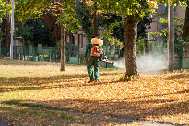 Best Rat Extermination Near Me  in Demopolis, AL