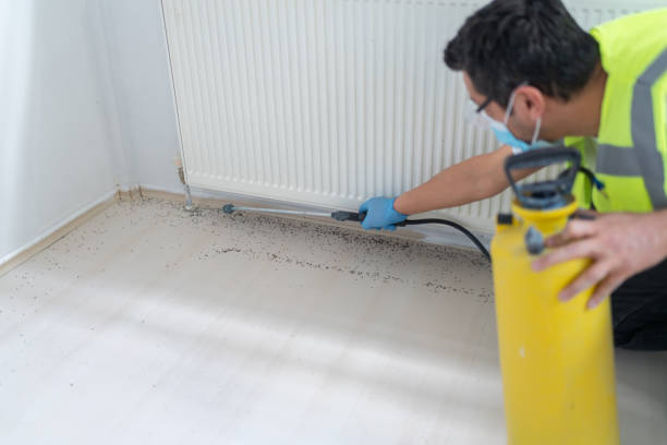 Best Pest Prevention Services  in Demopolis, AL